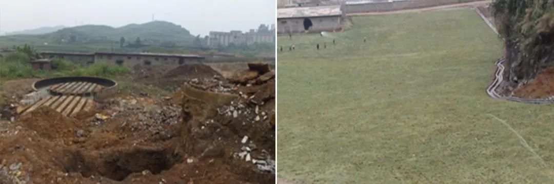 5c1caf9b53427.jpg 4.jpg