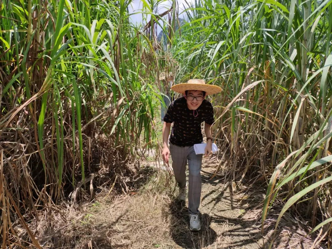 5d5591fc4c943.png 3.png