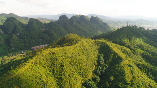 5ee273dfaba65.png 1.png