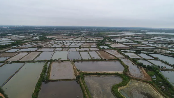 5f1dd47e0edf2.png QQ截圖20200727112033.png