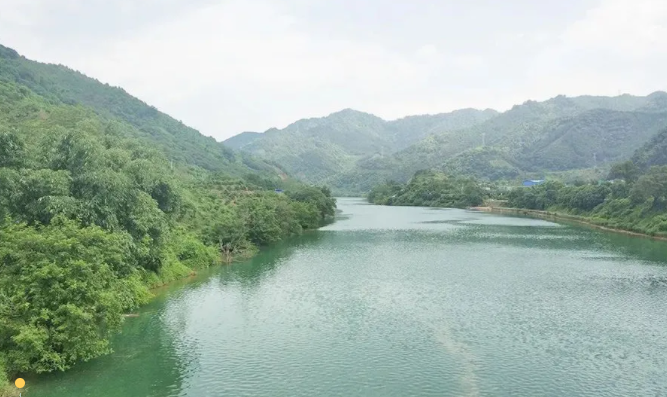 607bd5335847d.png 11.png