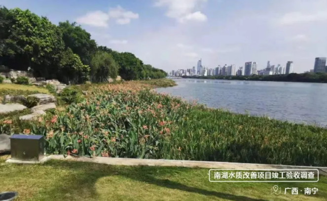 6172166571406.png 2.png