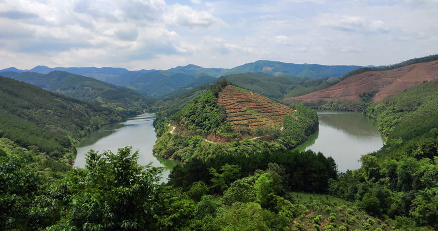 6266100f10250.png QQ截圖20220425110533.png