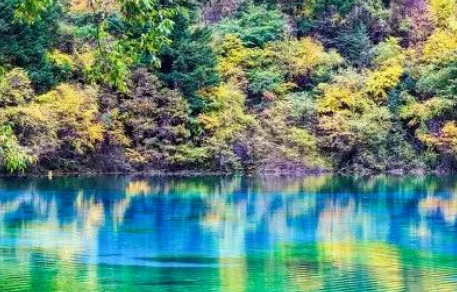 62cf891a5fee2.png 7.png